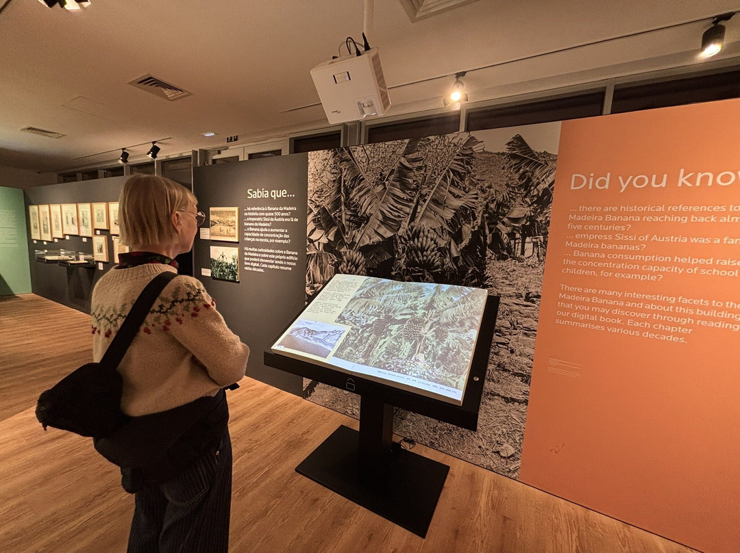 BAM - Centro Da Banana Da Madeira-Ponta Do Sol必去景点