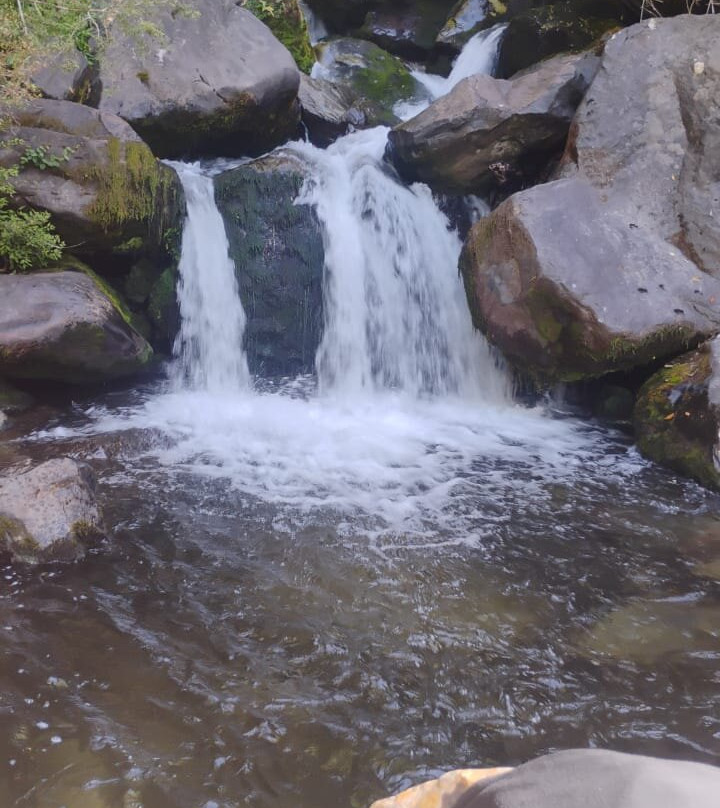 Reserva Biologica Juan Millanao-Panguipulli必去景点