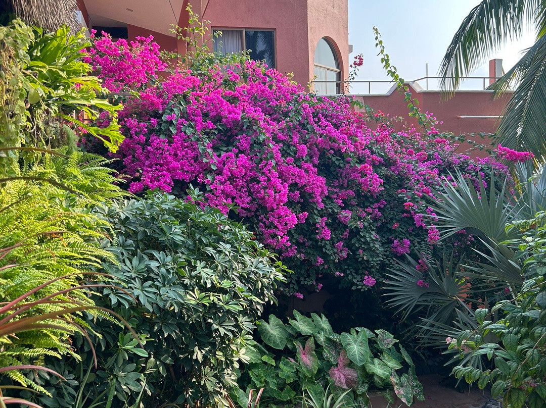 Ola Brisa Gardens-曼萨尼约必去景点