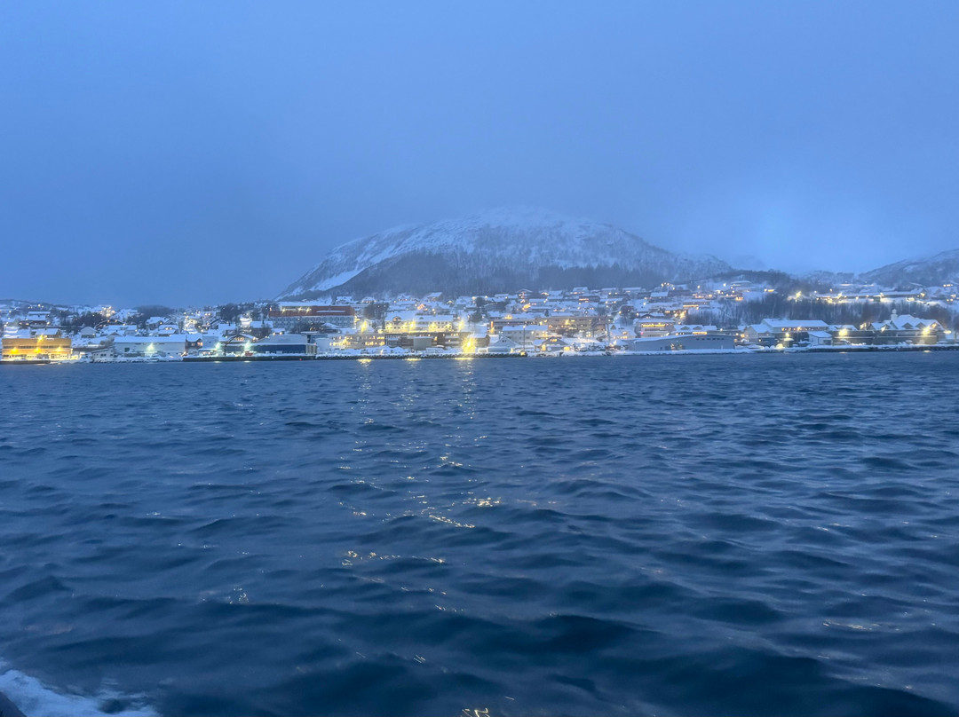 Explore 70 Degrees-Skjervoy必去景点