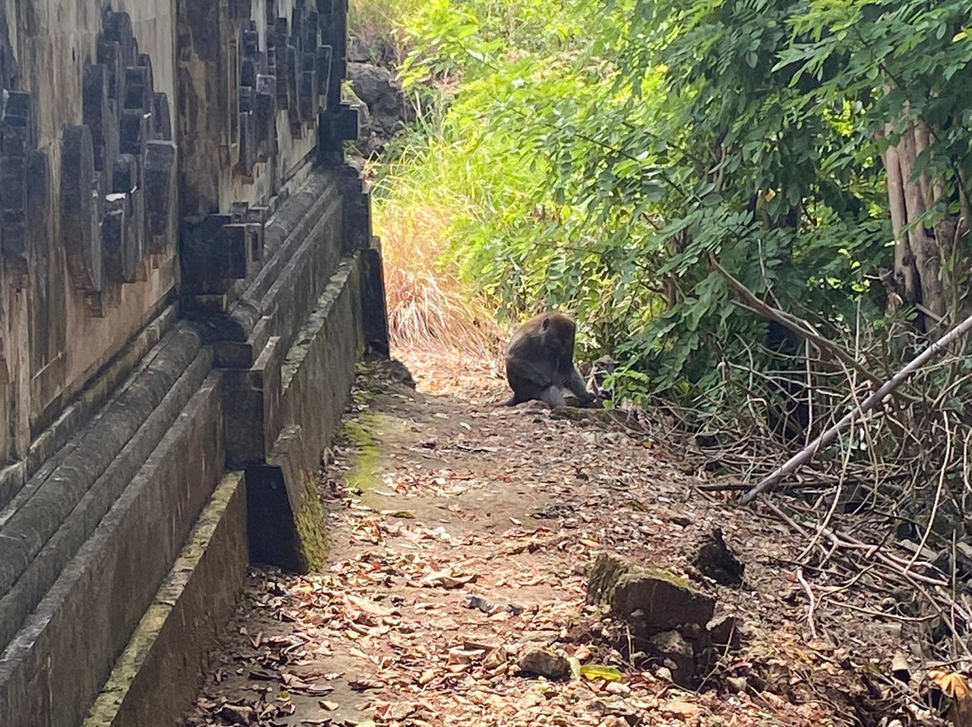 Manta Point-科莫多必去景点