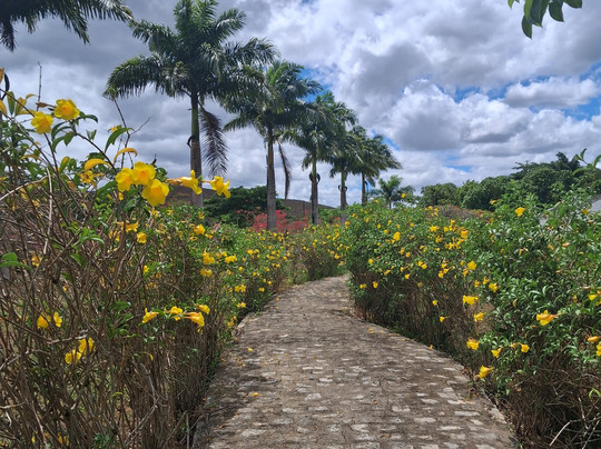 Usina de Arte-Agua Preta必去景点