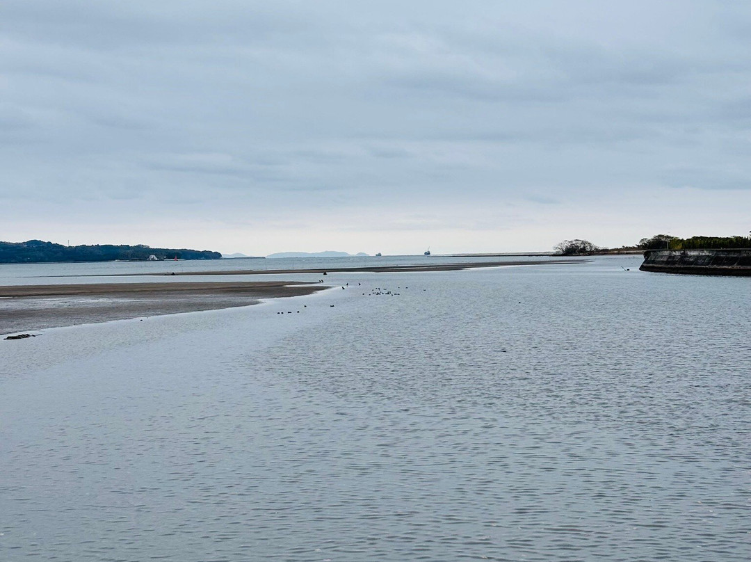 Kitsuki Castle-杵筑市必去景点