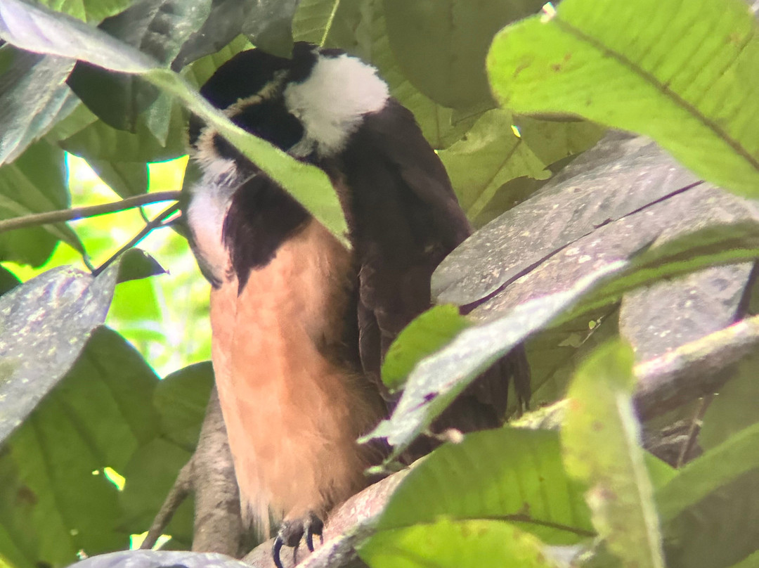 Ecogarden Arenal Family Project-福德圣卡洛斯必去景点