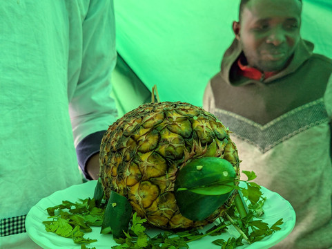 Pamoja Kilimanjaro & Safaris-莫西必去景点