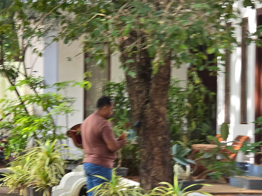 Muragala Holiday Resort主图