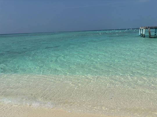 Papa Fish Excursions-乌库拉斯必去景点