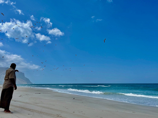 WelcomeToSocotra-索科特拉岛必去景点