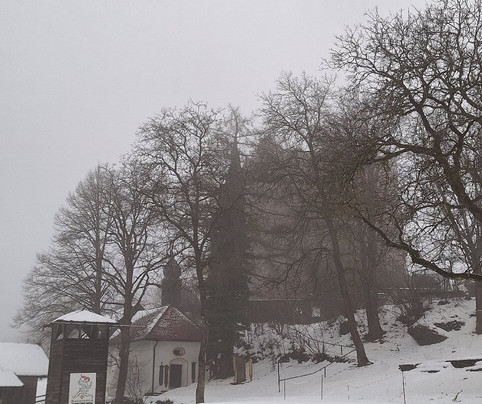 Burg Neunußberg-Viechtach必去景点