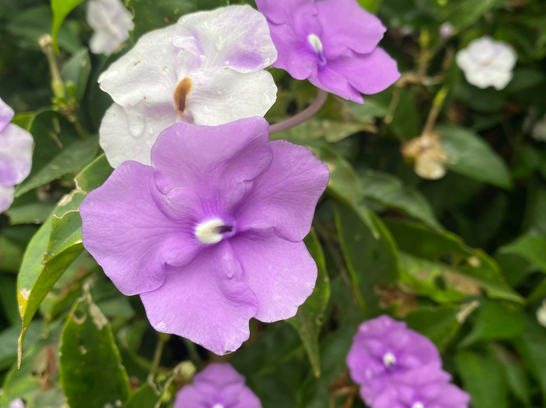 Tranquilo Bay Eco Adventure Lodge主图