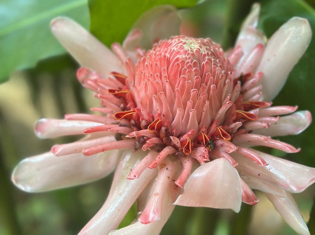 Matt's Fishing & Tours-萨迪纳尔必去景点