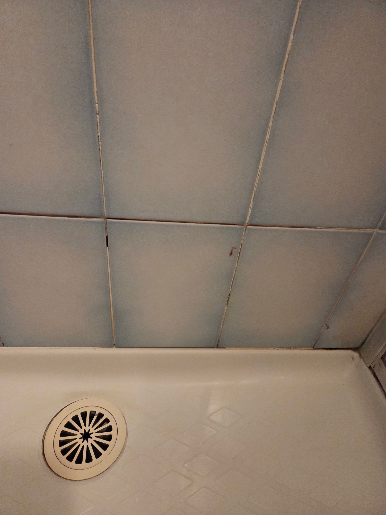 Old Coach Motor Inn-官方