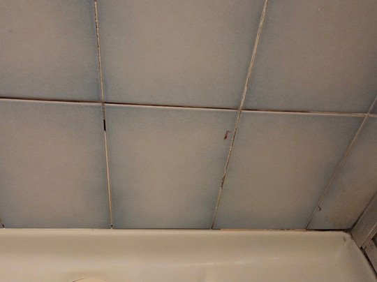 Old Coach Motor Inn主图