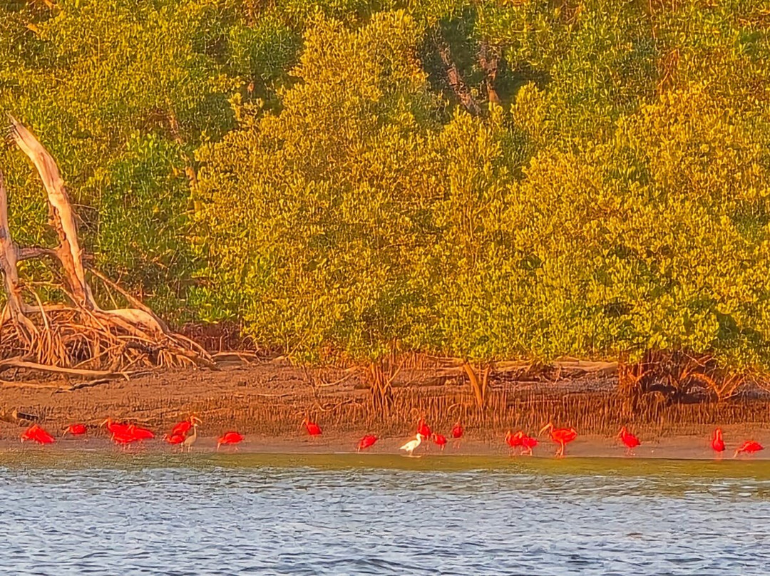 Eco Adventure Tour-Parnaiba必去景点