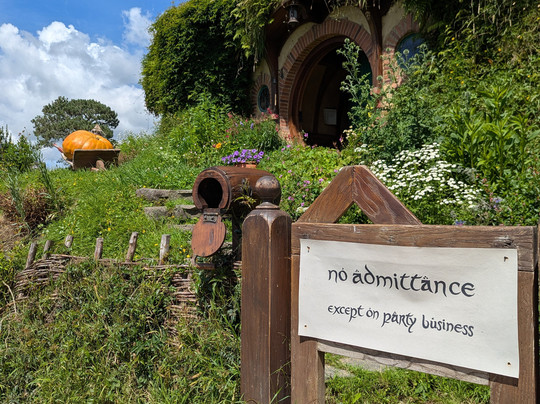 Red Carpet Tours-奥克兰中心地区必去景点