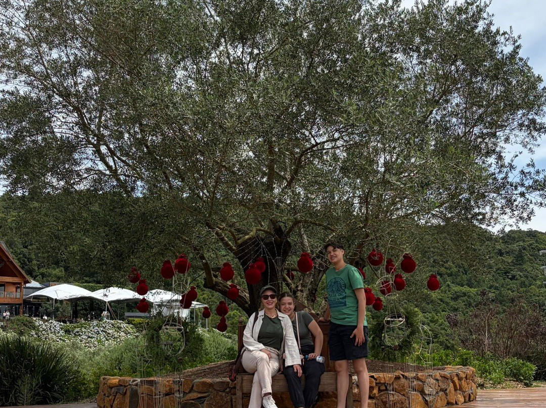 Parque Olivas de Gramado-格拉玛多必去景点