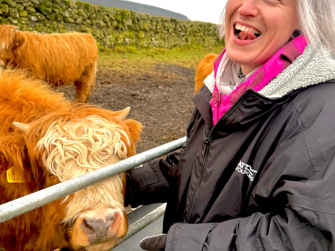 Kitchen Coos & Ewes-New Luce必去景点