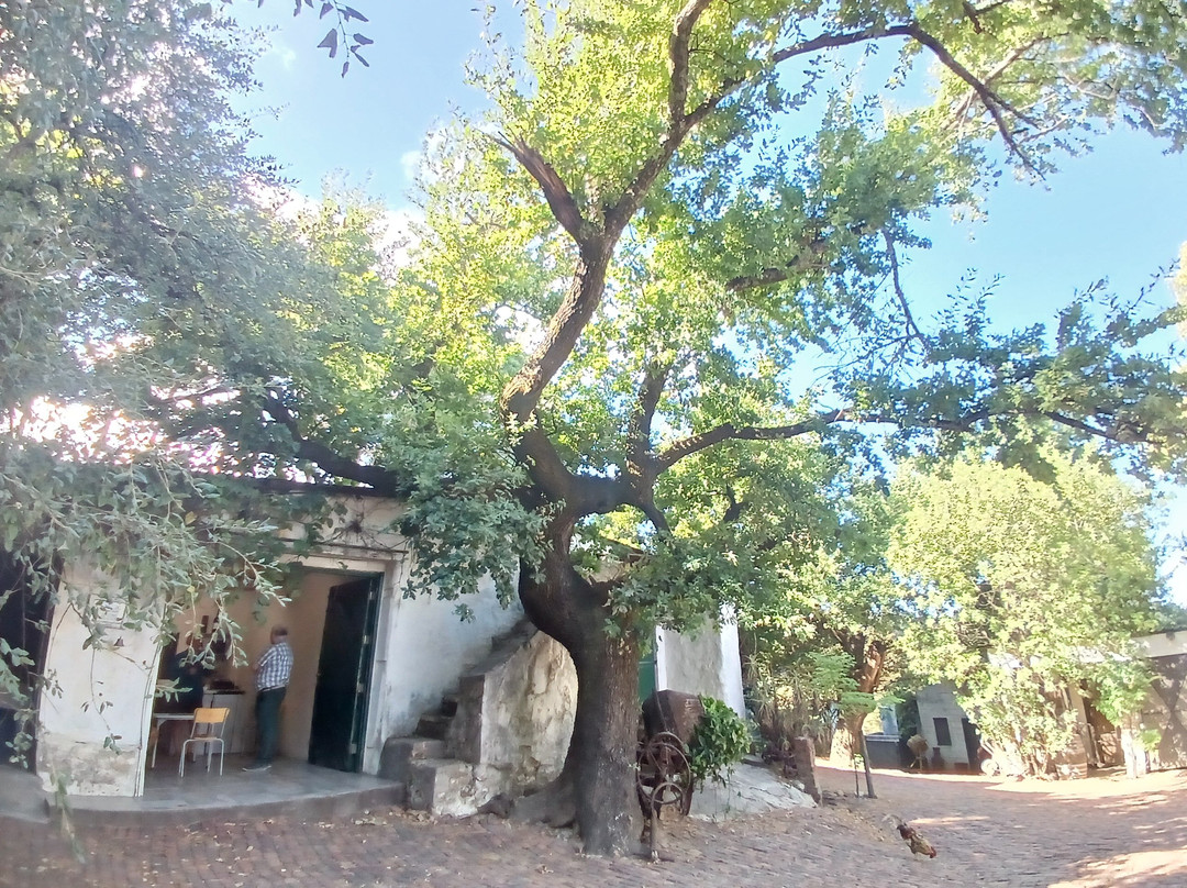 Upland Organic Wine-惠灵顿必去景点