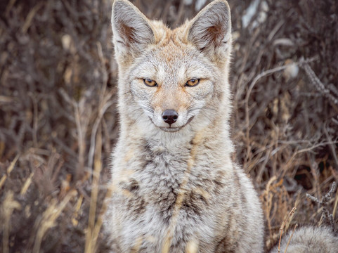 Wild Frames Chile-纳塔莱斯港必去景点