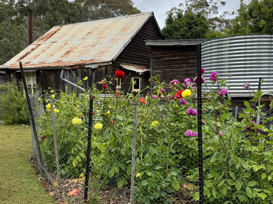 Davidson Whaling Station-伊登港必去景点