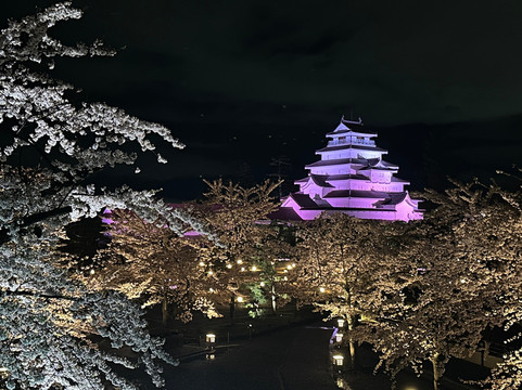 Magokoronoyado Hoshinoi主图