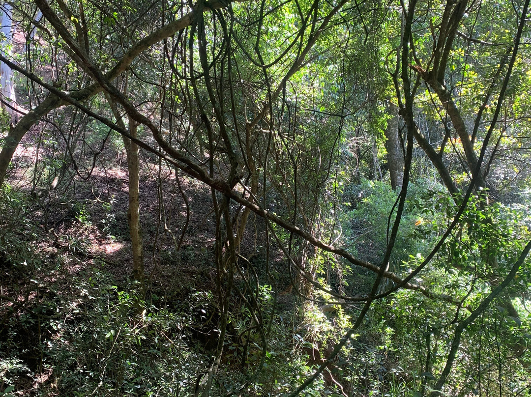 Ella Tours With Gayan Sri Lanka-Hanguranketa必去景点