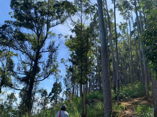 Ella Tours With Gayan Sri Lanka-Hanguranketa必去景点