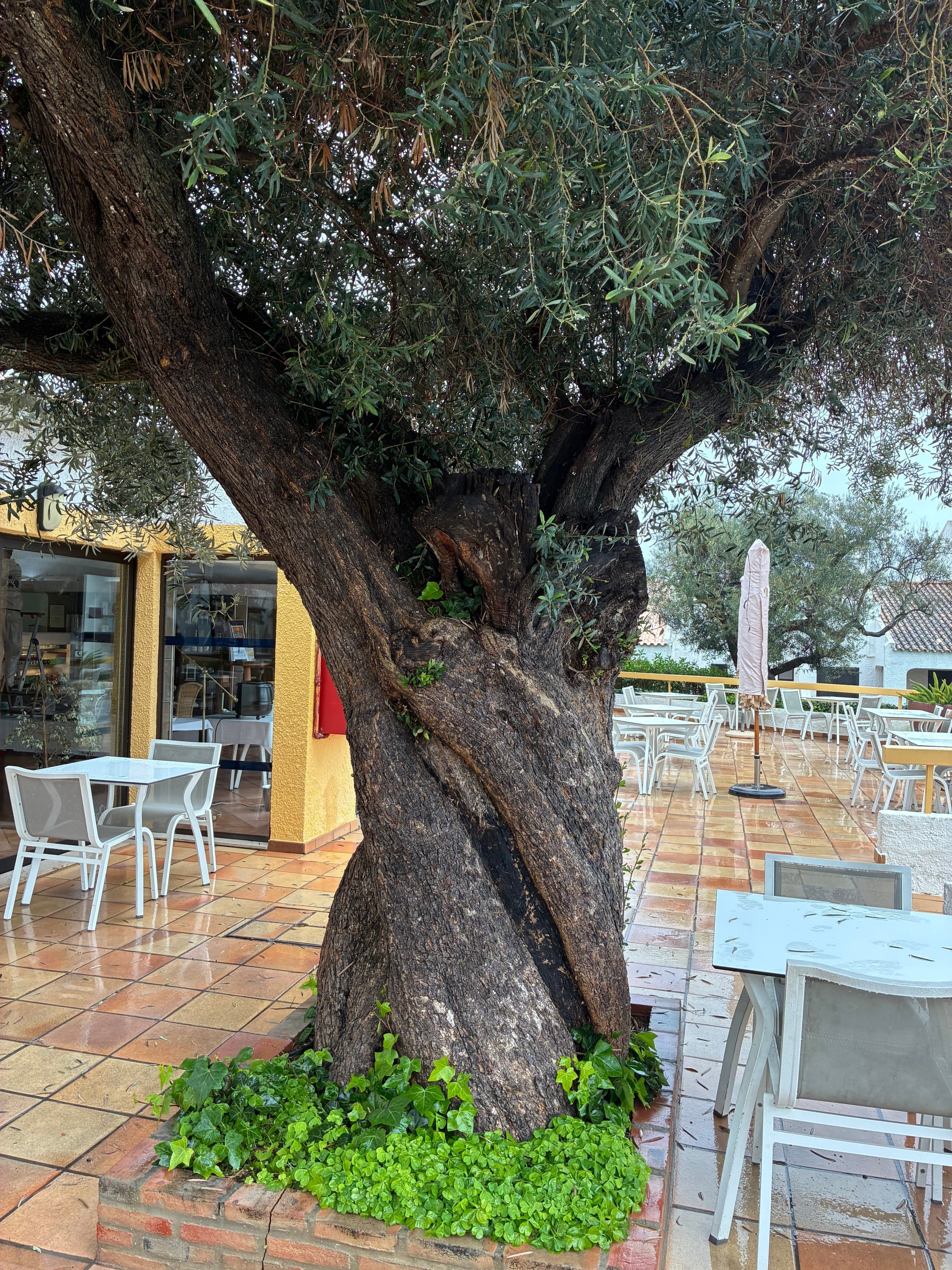 Pedras da Rainha-官方