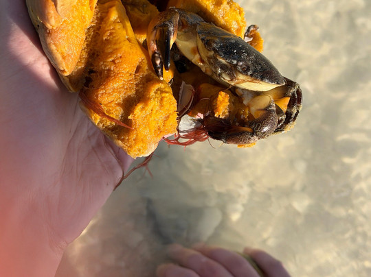 Marco Island Boat Tours-Goodland必去景点