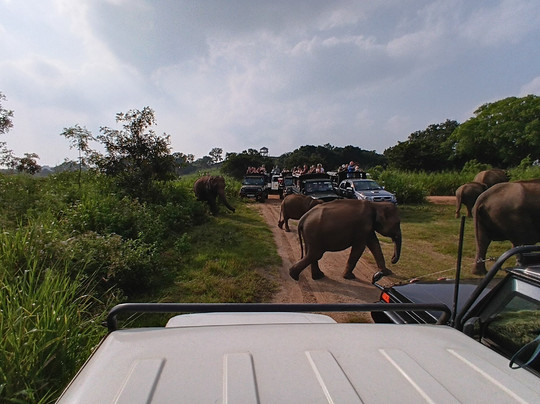 尼斯广场酒店主图