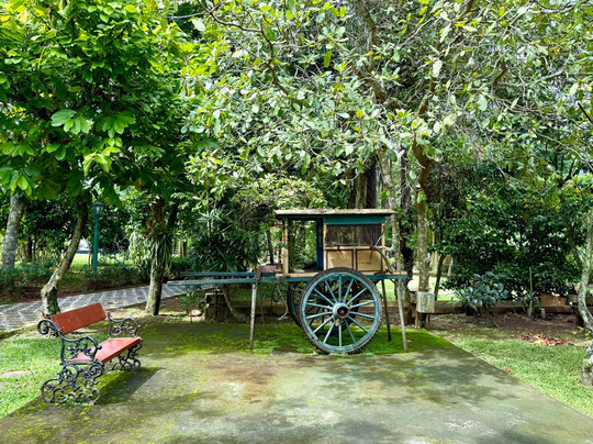 Melva Balemong主图