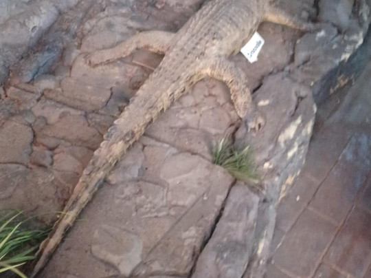 Interpretation Centre & Blyde Museum-Moremela必去景点