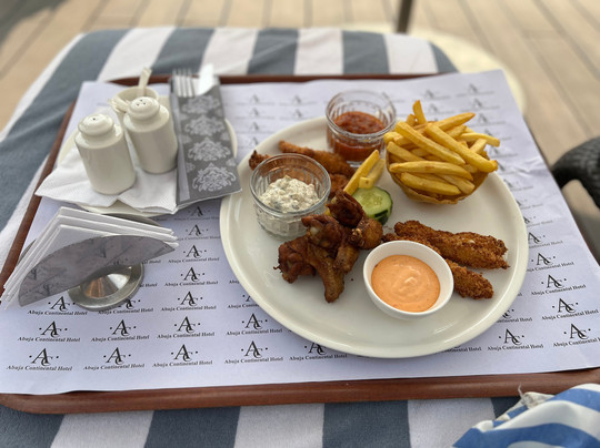 阿布贾喜来登酒店主图