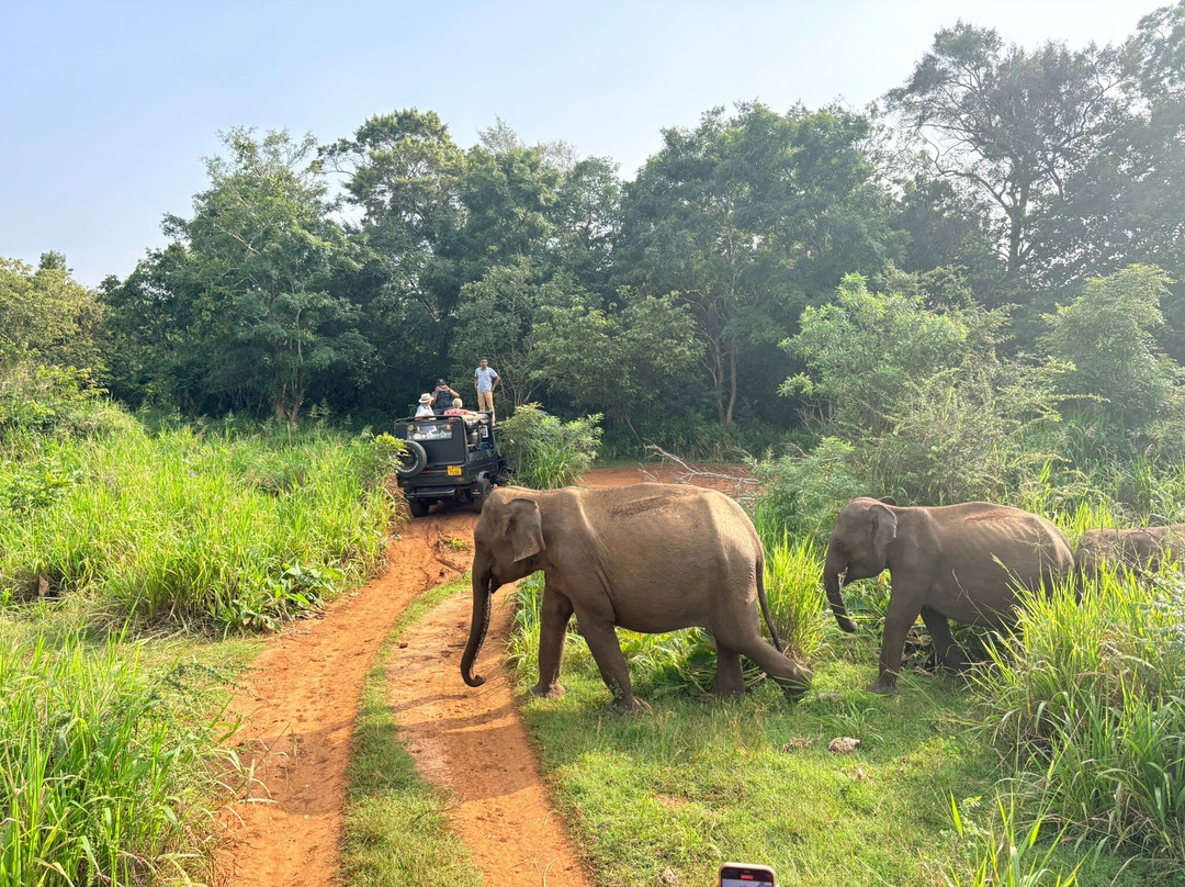 Dan Lanka Tours-科伦坡必去景点