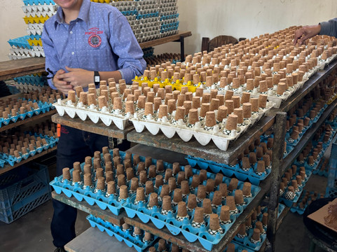 Tequila Fortaleza-特基拉必去景点