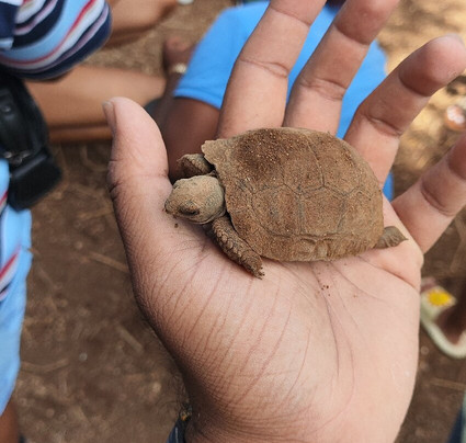 Francois Leguat Reserve-罗德里格斯岛必去景点
