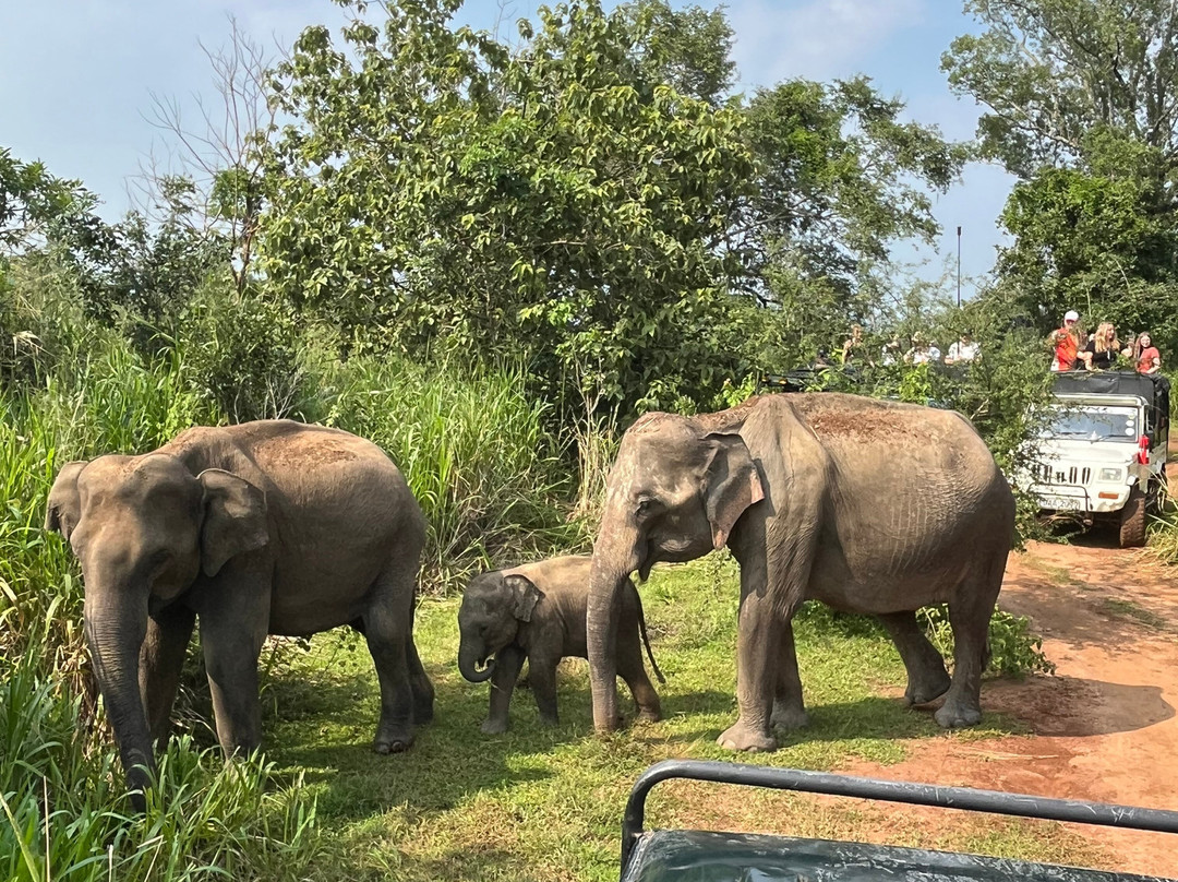 Reise Auf Sri Lanka-卡卢特勒必去景点