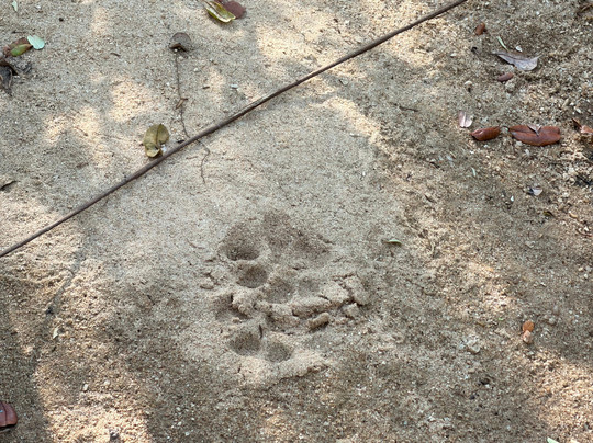 Yala Lahiru Safari-蒂瑟默哈拉默必去景点