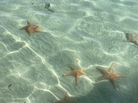 Mejitravel CR-瓜匹来斯必去景点