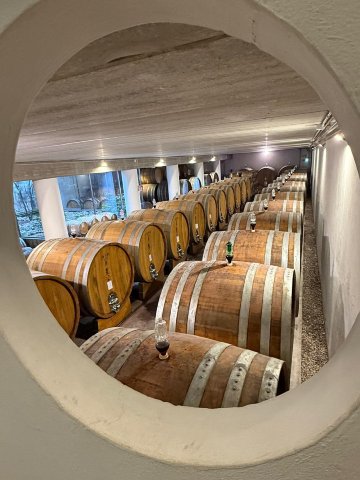 圣毛里齐奥雷莱斯酒店-官方