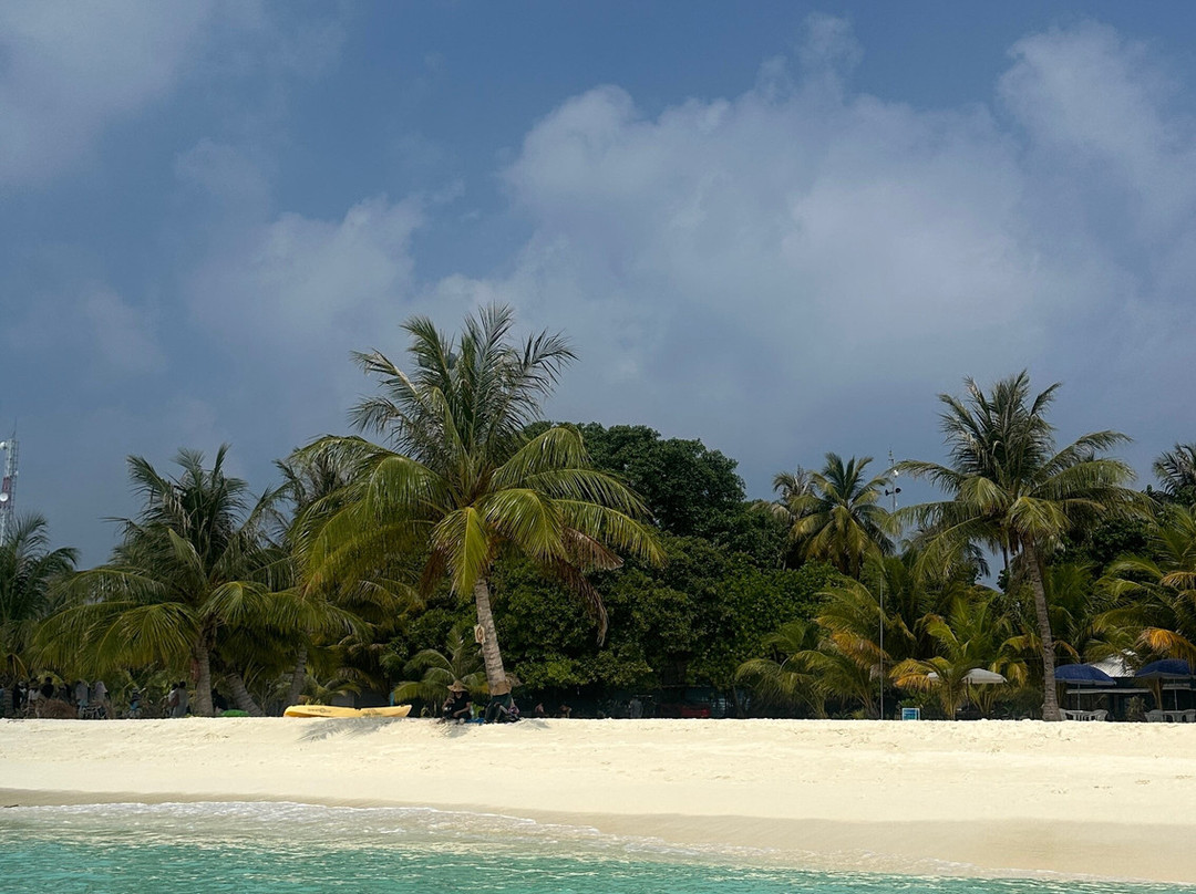 SHADOWPALM TOURS-马富士岛必去景点