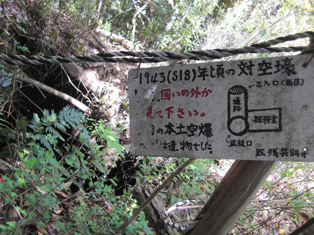 Numazu Alps Mountains-沼津市必去景点