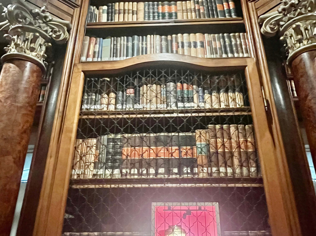 圣加仑修道院图书馆（Stiftsbibliothek）-圣加仑必去景点