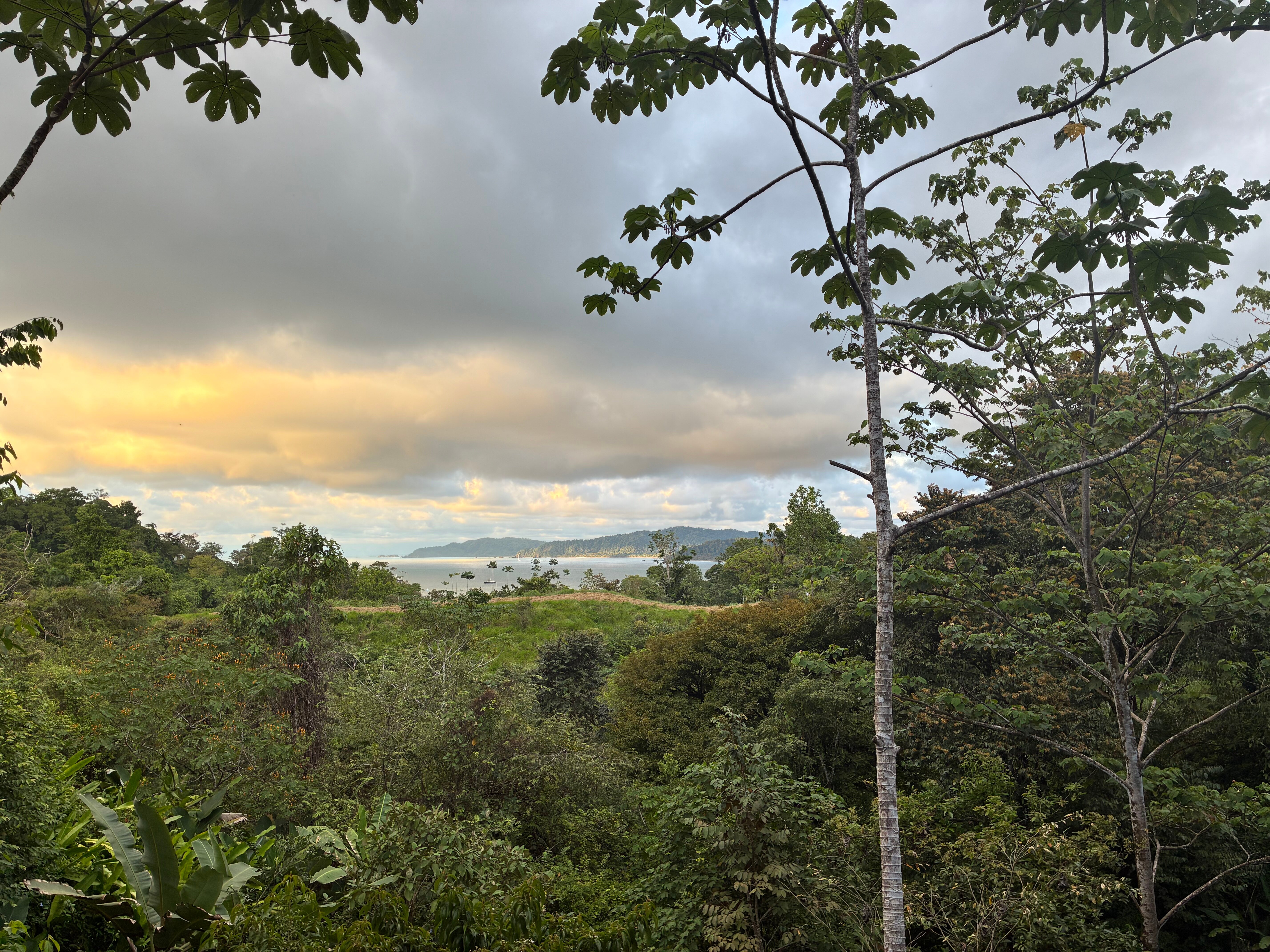 Drake Bay Greenleaf-酒店景观