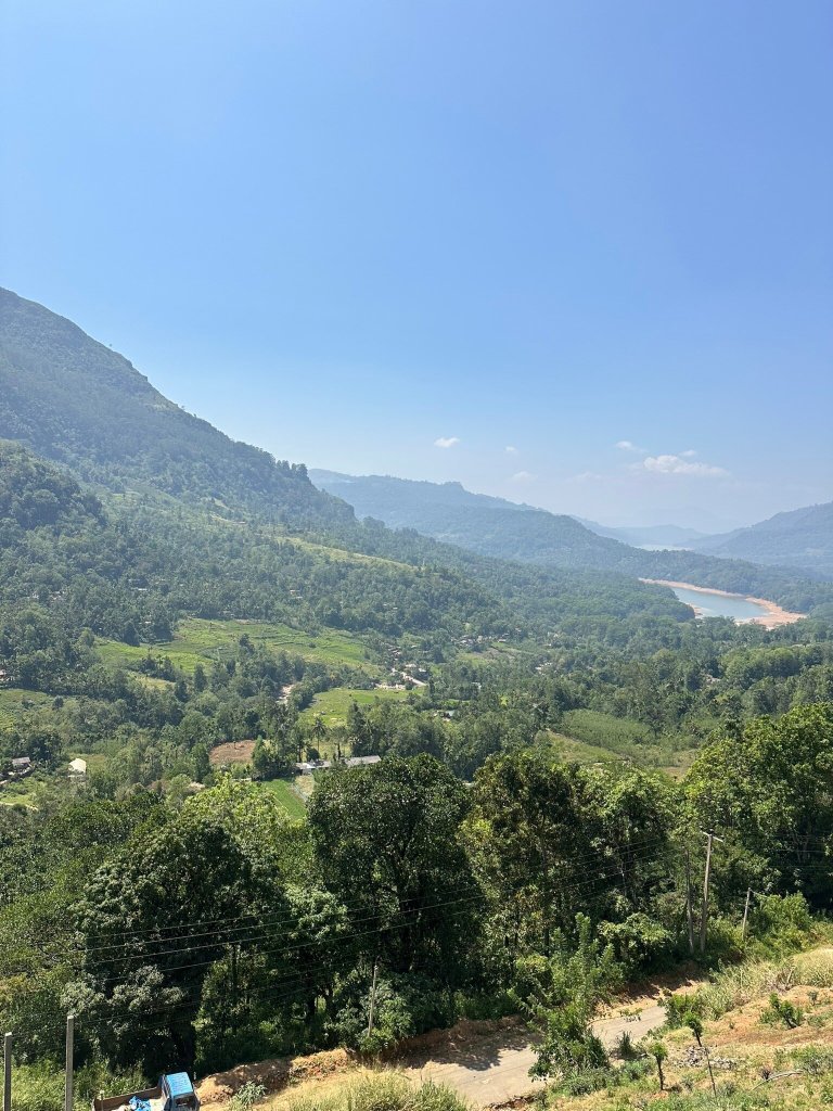 The Lavender House By Reveal-官方