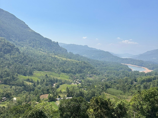 The Lavender House By Reveal主图