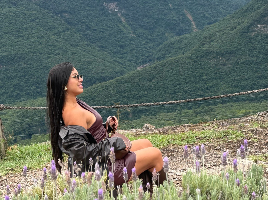 Parque Olivas de Gramado-格拉玛多必去景点