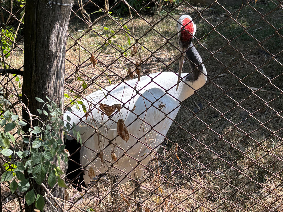 El Nido Aviario-Ixtapaluca必去景点