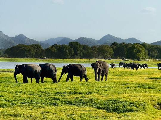 ceylonwing tours-Dharga Town必去景点