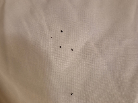 Quality Inn - Moncton主图